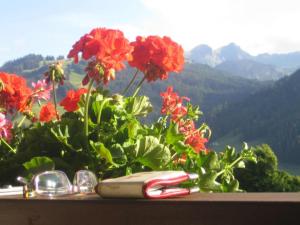 #Gstaad #Summer #sportmoneeontour #travellingwallet